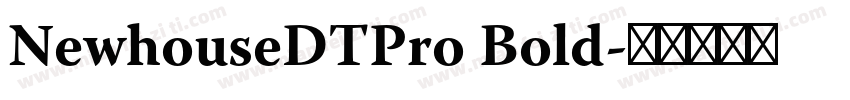 NewhouseDTPro Bold字体转换